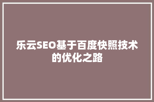 乐云SEO基于百度快照技术的优化之路
