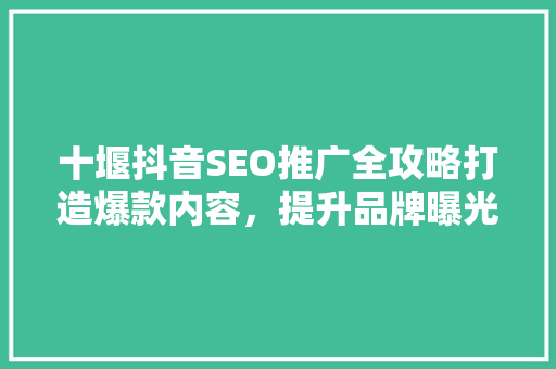十堰抖音SEO推广全攻略打造爆款内容，提升品牌曝光度