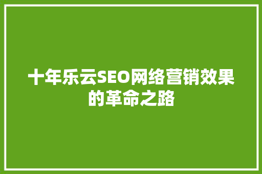 十年乐云SEO网络营销效果的革命之路