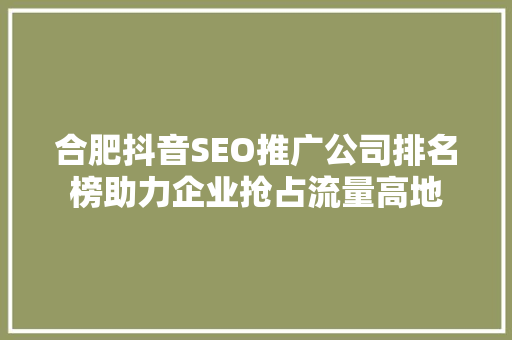 合肥抖音SEO推广公司排名榜助力企业抢占流量高地