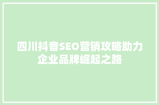 四川抖音SEO营销攻略助力企业品牌崛起之路