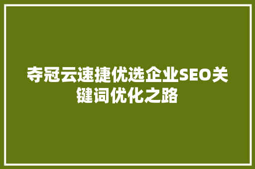 夺冠云速捷优选企业SEO关键词优化之路