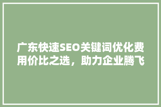 广东快速SEO关键词优化费用价比之选，助力企业腾飞