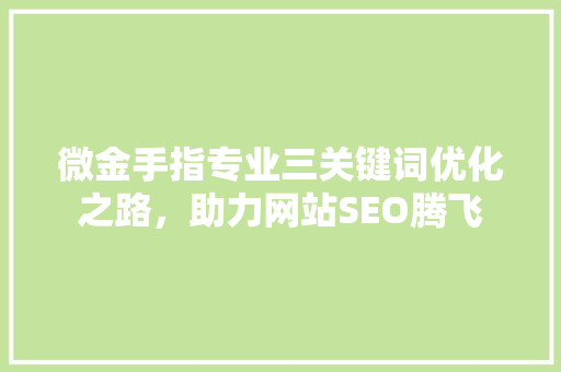 微金手指专业三关键词优化之路，助力网站SEO腾飞