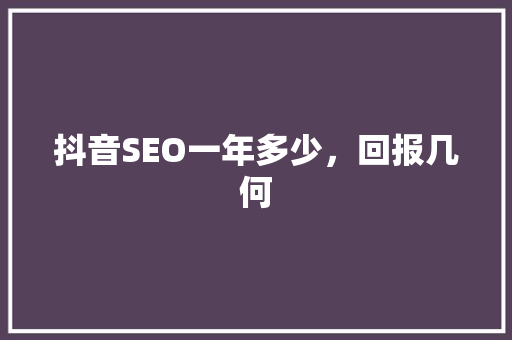 抖音SEO一年多少，回报几何