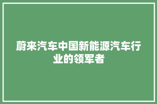 蔚来汽车中国新能源汽车行业的领军者