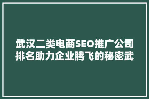 武汉二类电商SEO推广公司排名助力企业腾飞的秘密武器