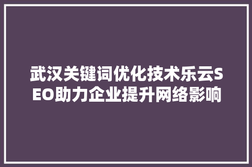 武汉关键词优化技术乐云SEO助力企业提升网络影响力