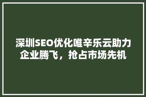 深圳SEO优化唯辛乐云助力企业腾飞，抢占市场先机