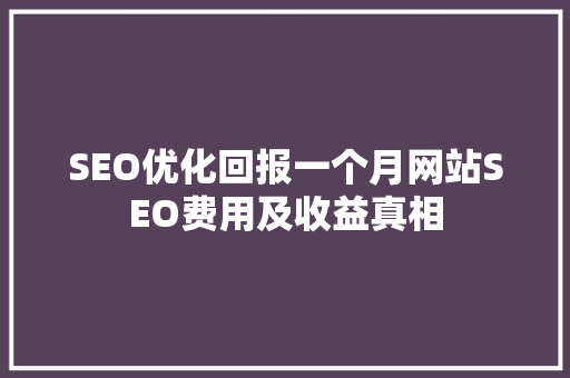 SEO优化回报一个月网站SEO费用及收益真相  第1张