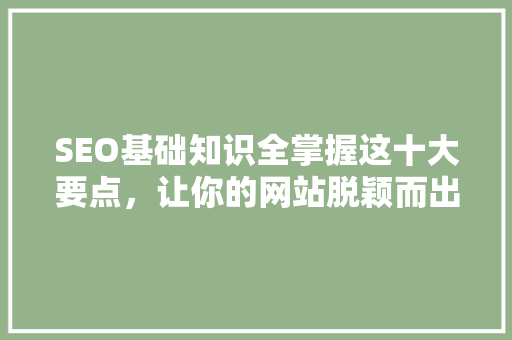 SEO基础知识全掌握这十大要点，让你的网站脱颖而出