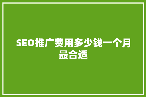 SEO推广费用多少钱一个月最合适
