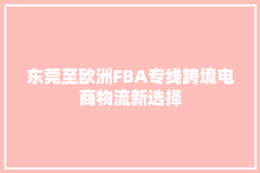 东莞至欧洲FBA专线跨境电商物流新选择
