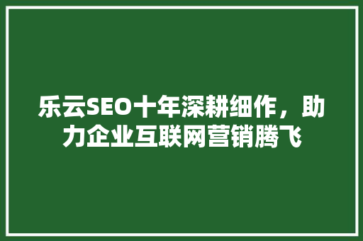 乐云SEO十年深耕细作，助力企业互联网营销腾飞