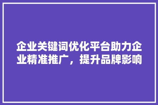 企业关键词优化平台助力企业精准推广，提升品牌影响力