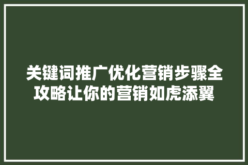 关键词推广优化营销步骤全攻略让你的营销如虎添翼