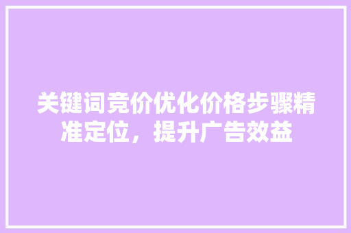关键词竞价优化价格步骤精准定位，提升广告效益