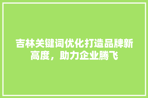 吉林关键词优化打造品牌新高度，助力企业腾飞