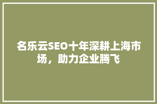 名乐云SEO十年深耕上海市场，助力企业腾飞