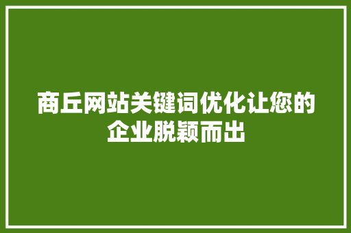 商丘网站关键词优化让您的企业脱颖而出