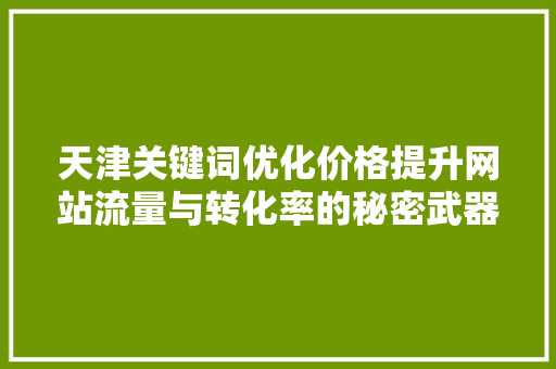 天津关键词优化价格提升网站流量与转化率的秘密武器