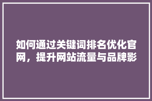 如何通过关键词排名优化官网，提升网站流量与品牌影响力
