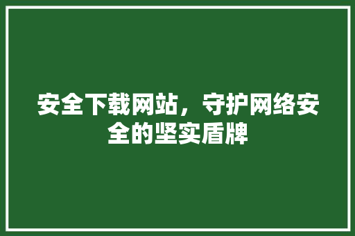 安全下载网站，守护网络安全的坚实盾牌