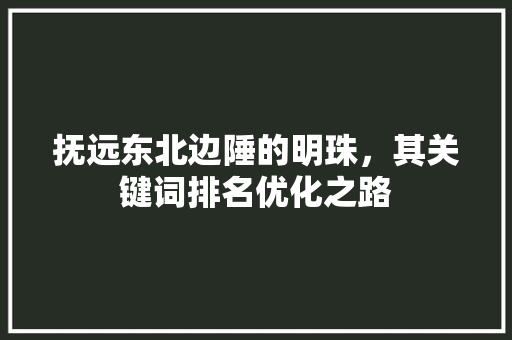 抚远东北边陲的明珠，其关键词排名优化之路