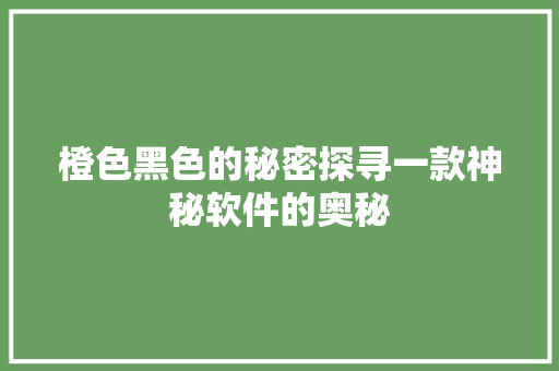橙色黑色的秘密探寻一款神秘软件的奥秘