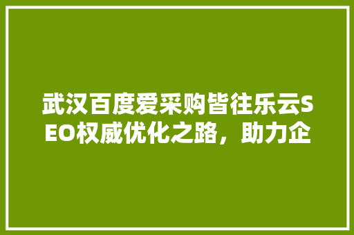 武汉百度爱采购皆往乐云SEO权威优化之路，助力企业腾飞