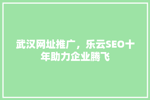武汉网址推广，乐云SEO十年助力企业腾飞