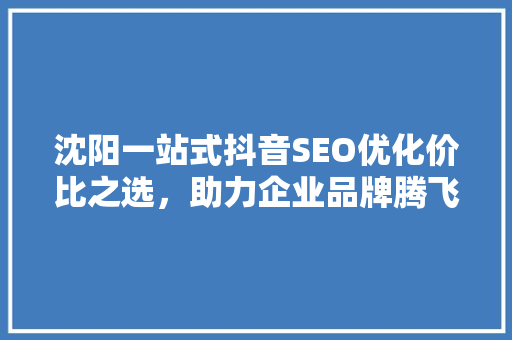 沈阳一站式抖音SEO优化价比之选，助力企业品牌腾飞