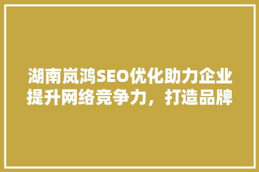 湖南岚鸿SEO优化助力企业提升网络竞争力，打造品牌新高度