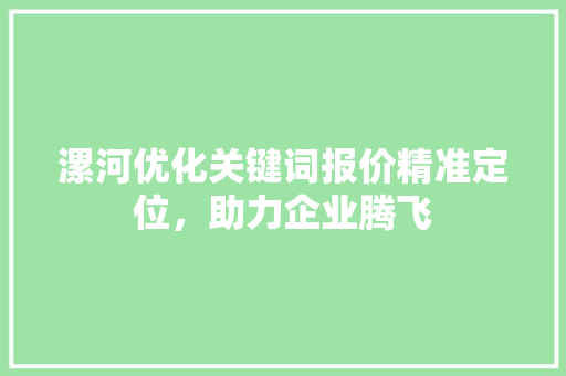 漯河优化关键词报价精准定位，助力企业腾飞