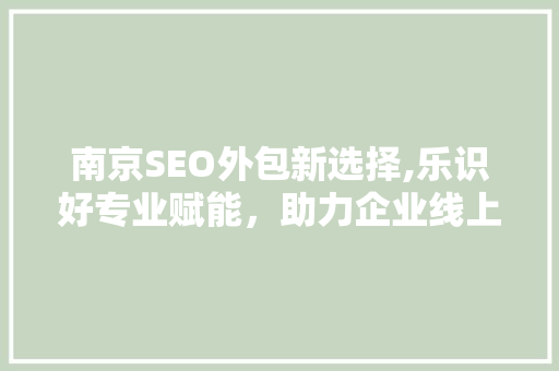 南京SEO外包新选择,乐识好专业赋能，助力企业线上腾飞