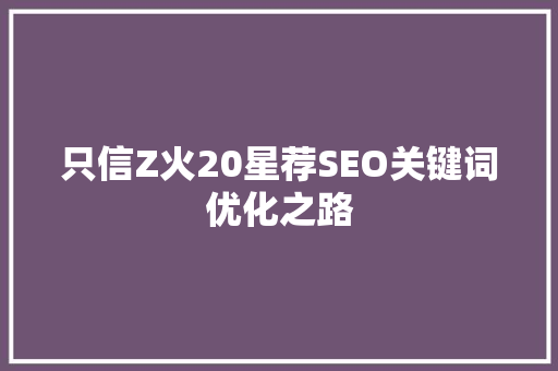 只信Z火20星荐SEO关键词优化之路