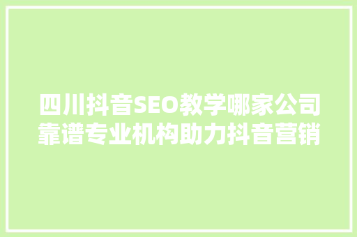 四川抖音SEO教学哪家公司靠谱专业机构助力抖音营销成功之路
