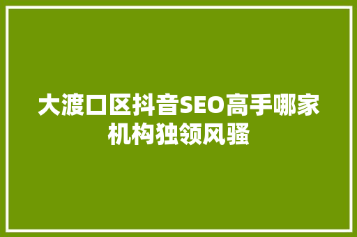 大渡口区抖音SEO高手哪家机构独领风骚