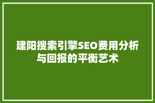 建阳搜索引擎SEO费用分析与回报的平衡艺术