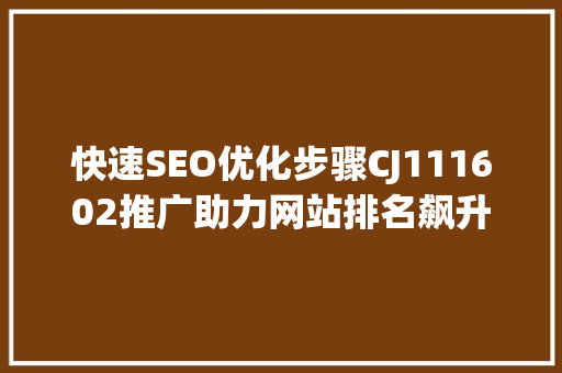 快速SEO优化步骤CJ111602推广助力网站排名飙升