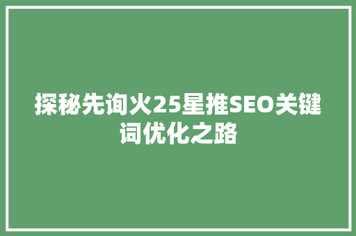 探秘先询火25星推SEO关键词优化之路