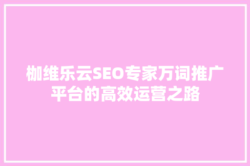 枷维乐云SEO专家万词推广平台的高效运营之路
