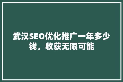 武汉SEO优化推广一年多少钱，收获无限可能