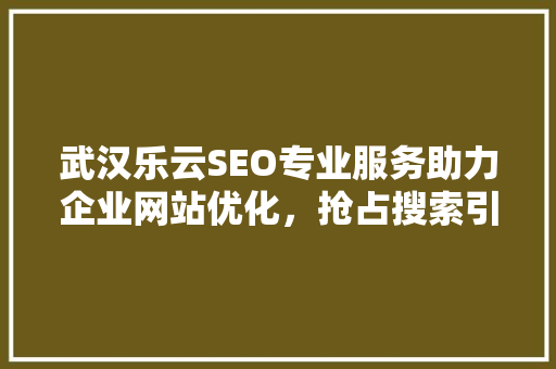 武汉乐云SEO专业服务助力企业网站优化，抢占搜索引擎排名  第1张