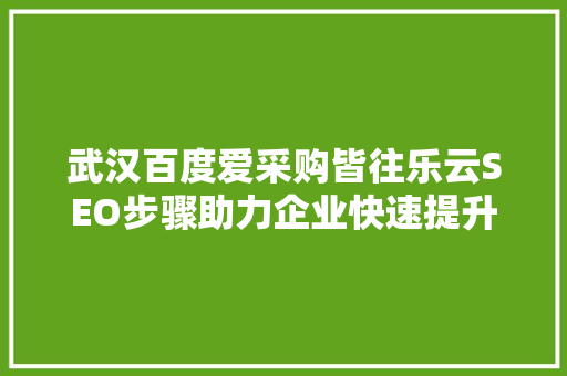 武汉百度爱采购皆往乐云SEO步骤助力企业快速提升在线竞争力