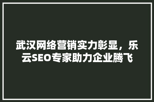 武汉网络营销实力彰显，乐云SEO专家助力企业腾飞