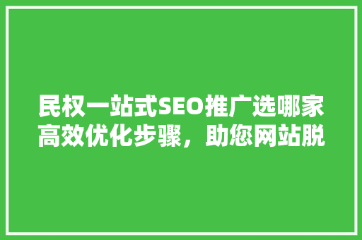 民权一站式SEO推广选哪家高效优化步骤，助您网站脱颖而出