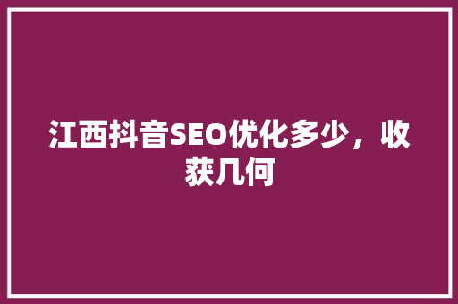江西抖音SEO优化多少，收获几何