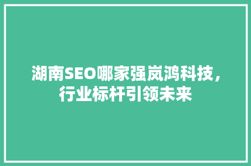 湖南SEO哪家强岚鸿科技，行业标杆引领未来