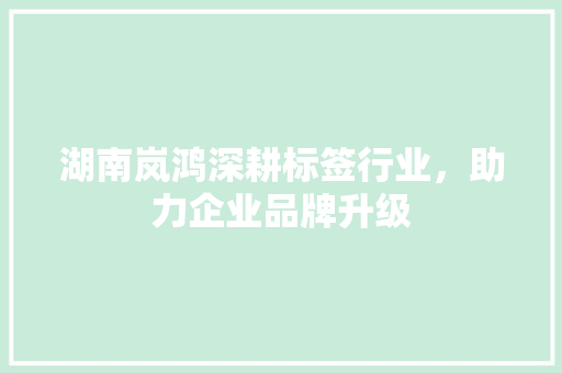 湖南岚鸿深耕标签行业，助力企业品牌升级